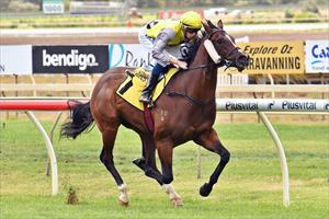 Prince Of Sussex, Vobis Goldrush @ Bendigo  March 2019